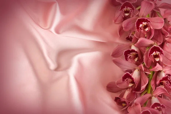 Orchid On Silk. Copy Space — Stock Photo, Image