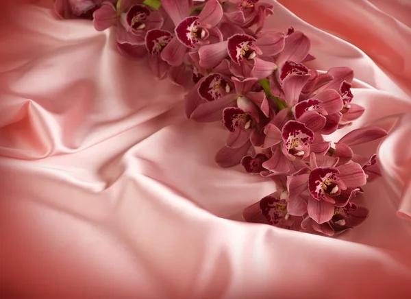 Orchid And Silk — Stock Photo, Image