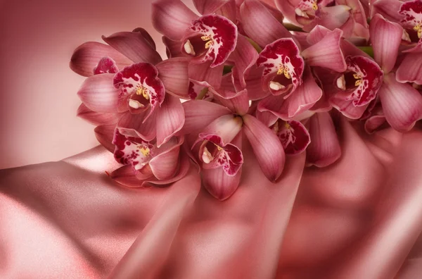 Orchid och silke — Stockfoto