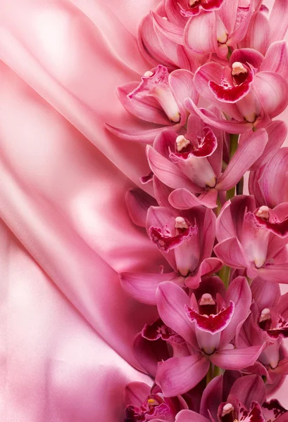 Орхидеи и шелк — стоковое фото