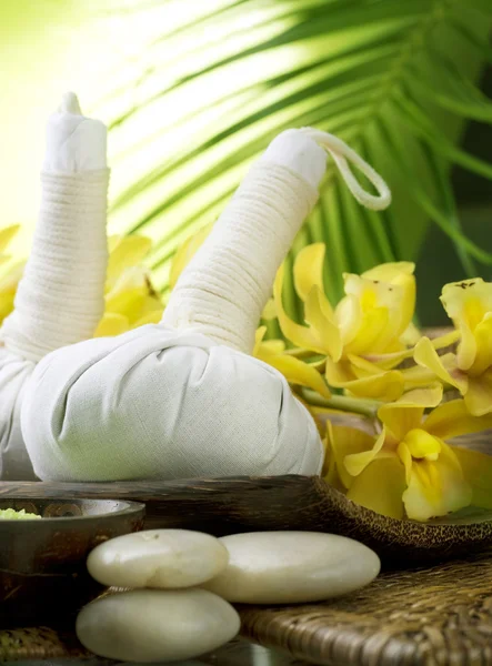 Thaise massage van de Spa — Stockfoto