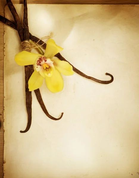 Vanilj blomma och skida över vintage papper bakgrund — Stockfoto