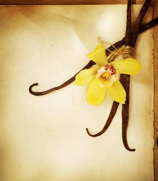 Vanilleblume und Schoten über Vintage-Papier Hintergrund — Stockfoto