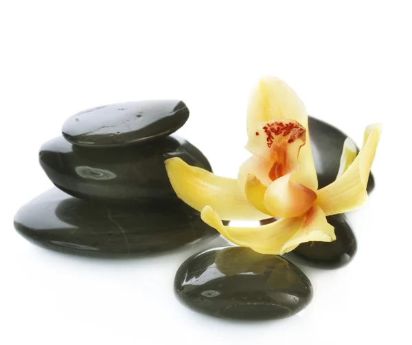 Spa kamienie z orchidea kwiat na białym — Zdjęcie stockowe