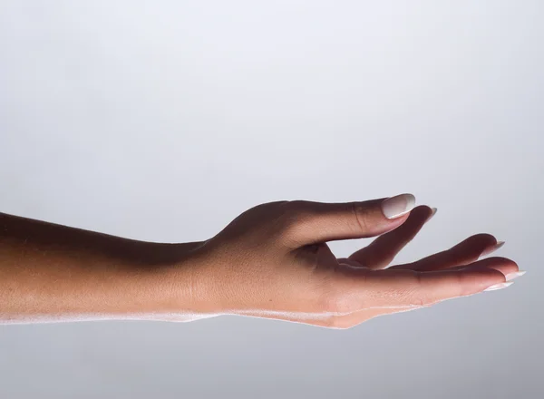 stock image Beautiful Female Hand