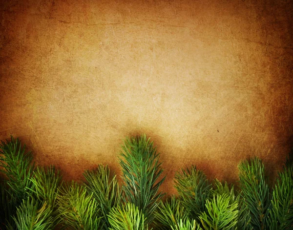 Christmas Fir Tree Border over Vintage background — Stock Photo, Image