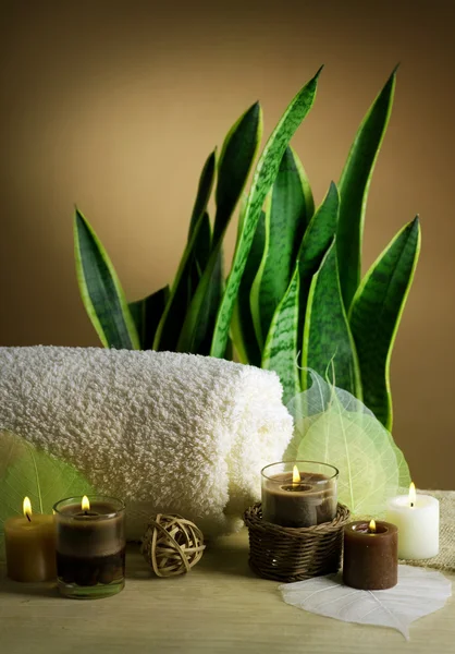 Spa treatment — Stock Photo, Image