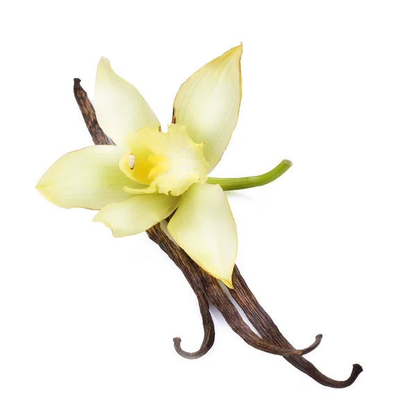 Vanilya Kabukları ve Çiçekler — Stok fotoğraf