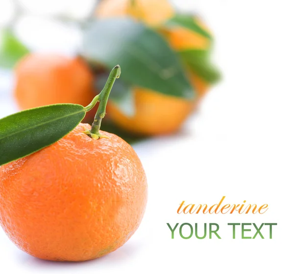 Mandarinas maduras — Foto de Stock