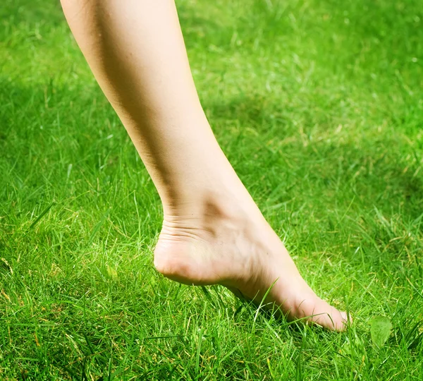 Pieds nus de femme dans l'herbe verte — Photo