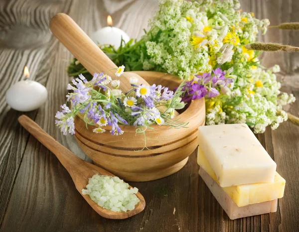 Produtos naturais à base de plantas. Spa de produtos cosméticos — Fotografia de Stock