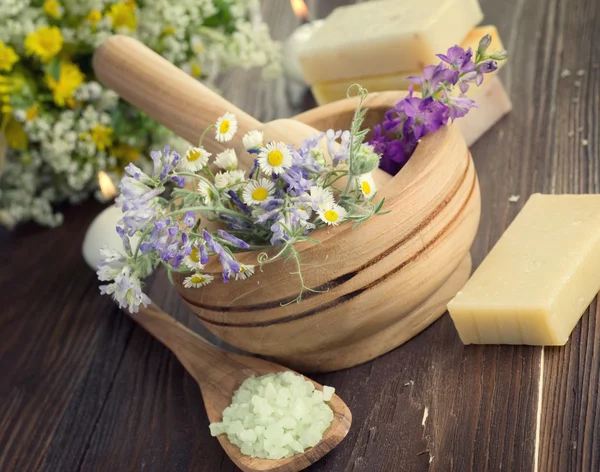 Produtos naturais à base de plantas. Spa Cosméticos — Fotografia de Stock