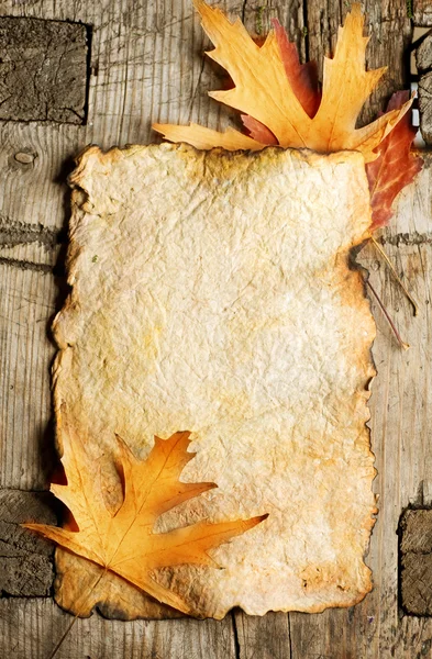 Autumn Leaves on the Old Paper sheet — Stock Photo, Image