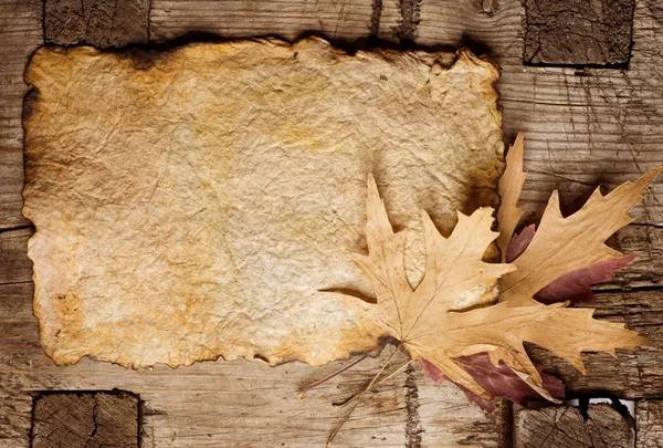 Folhas de outono na folha de papel antigo — Fotografia de Stock