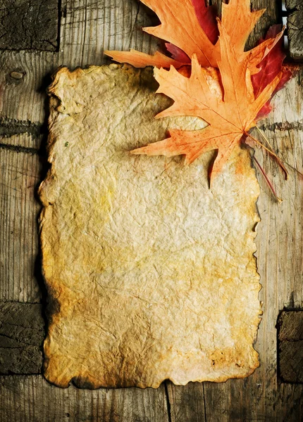 Feuilles d'automne sur la vieille feuille de papier — Photo
