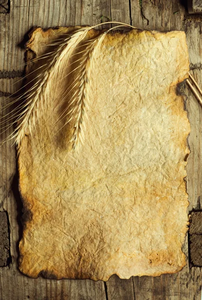 Orejas de trigo en la hoja de papel vieja — Foto de Stock