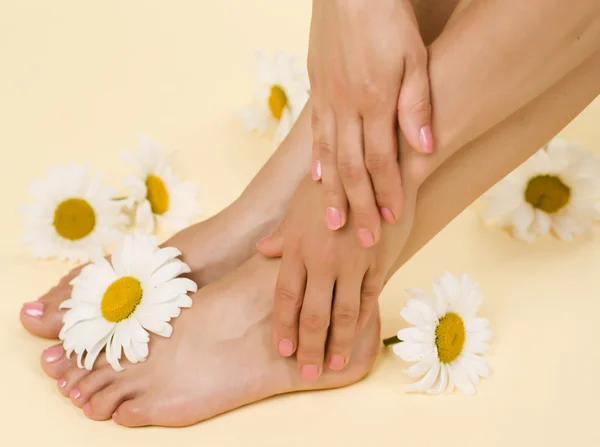 Herbal spa. fötter och händer med daisy blommor — Stockfoto