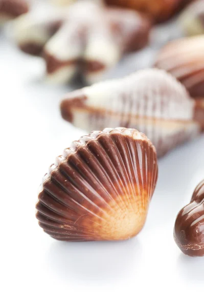 Σοκολάτα κοχύλια closeup — Φωτογραφία Αρχείου