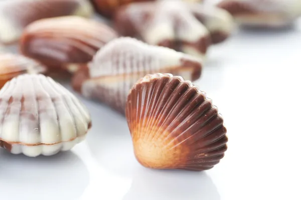 Çikolata deniz kabuklarını. seçici odak — Stok fotoğraf