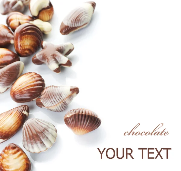 Çikolata deniz kabuklarını kenarlık — Stok fotoğraf