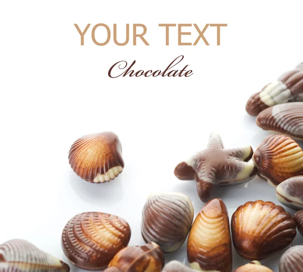 Çikolata deniz kabuklarını üzerinde beyaz izole — Stok fotoğraf