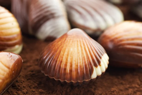 Čokoládové mušle closeup — Stock fotografie
