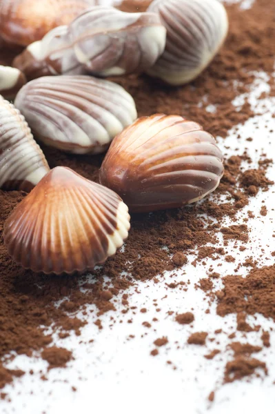 チョコレートの貝殻のクローズ アップ — ストック写真