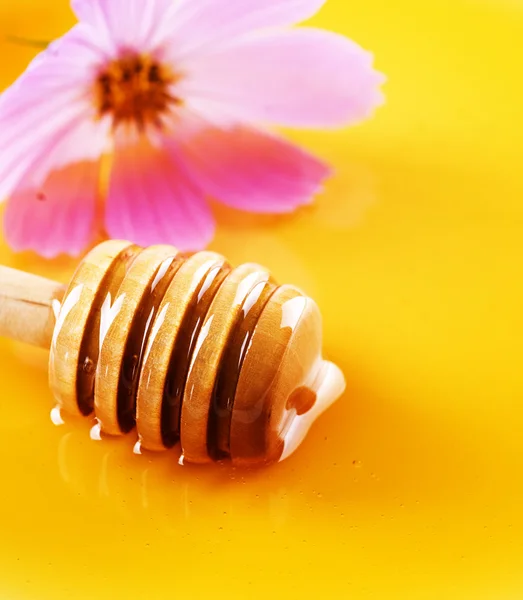 Honey and Flowers — Stock Photo, Image