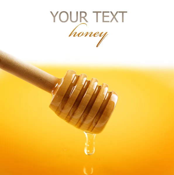 Bordure miel sur blanc — Photo