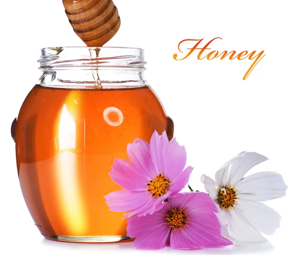 Μέλι πάνω από λευκό — Φωτογραφία Αρχείου