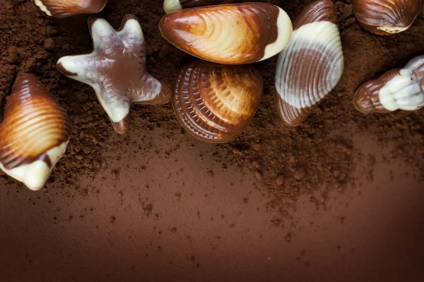 Çikolata deniz kabuklarını kenarlık — Stok fotoğraf