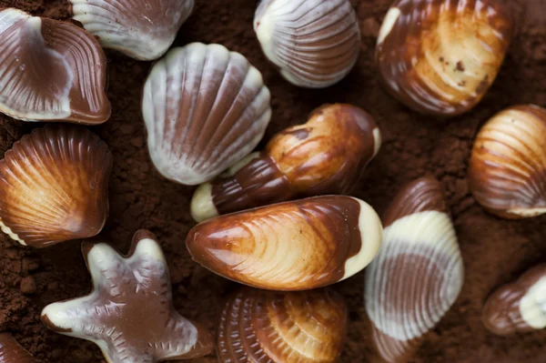 Čokoládové Seashells pozadí — Stock fotografie
