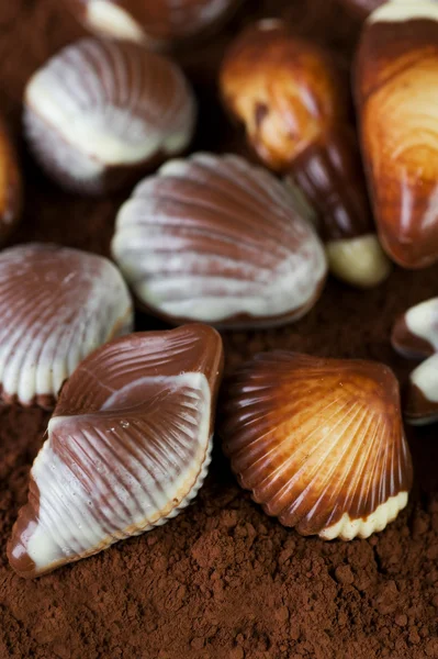 Closeup de conchas de chocolate suíço — Fotografia de Stock