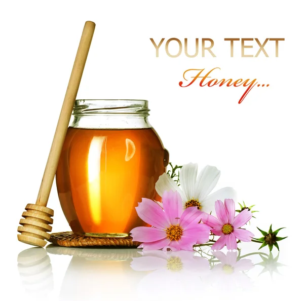 Honey over white — Stock Photo, Image