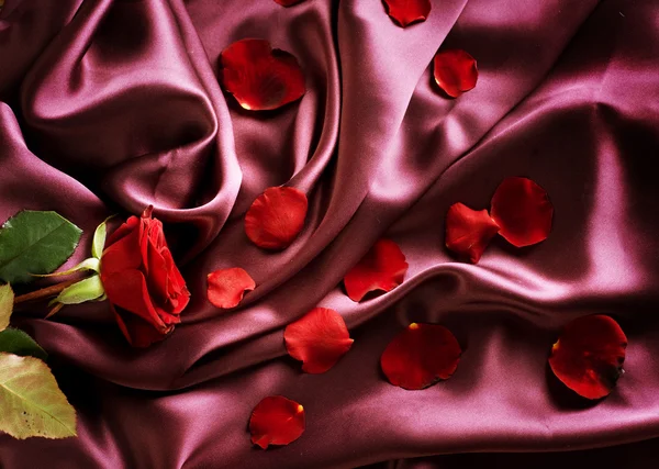 Czerwony jedwab i płatki róży — Zdjęcie stockowe
