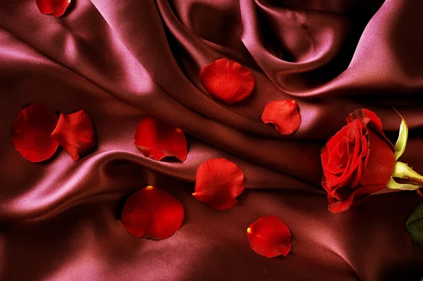 Rode zijde en rozenblaadjes — Stockfoto