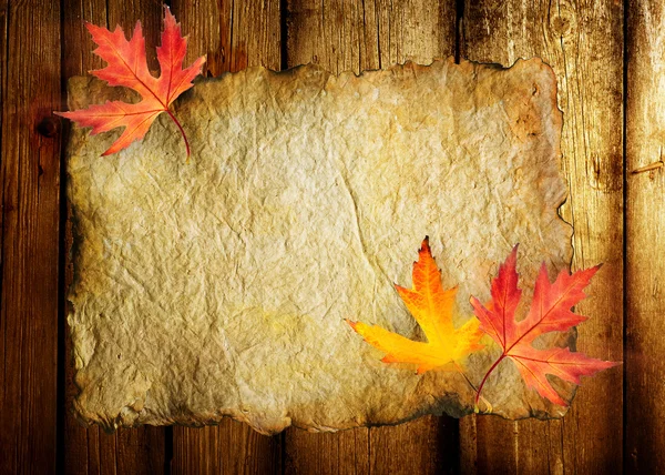 Őszi levelek, a régi papír lapot — Stock Fotó