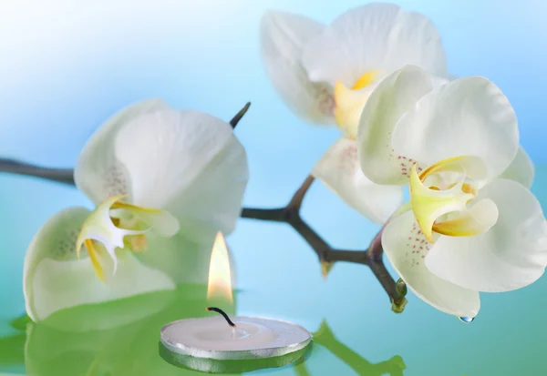 Orchidee und brennende Kerze im Wasser — Stockfoto