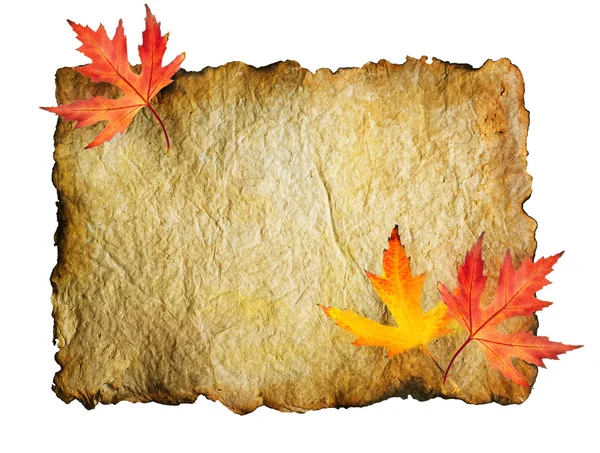 Осенние листья на старом листе бумаги изолированы на белом — стоковое фото