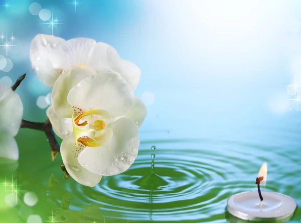 Güzel orkide ve su içinde mum — Stok fotoğraf