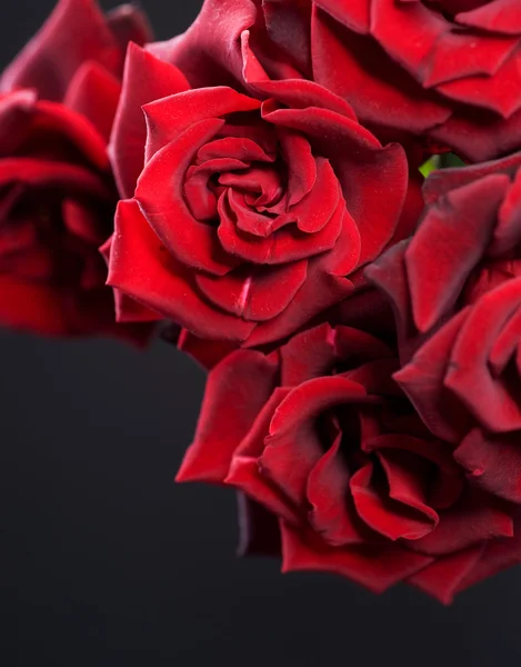Όμορφα κόκκινα τριαντάφυλλα μπουκέτο πάνω από το μαύρο — Φωτογραφία Αρχείου