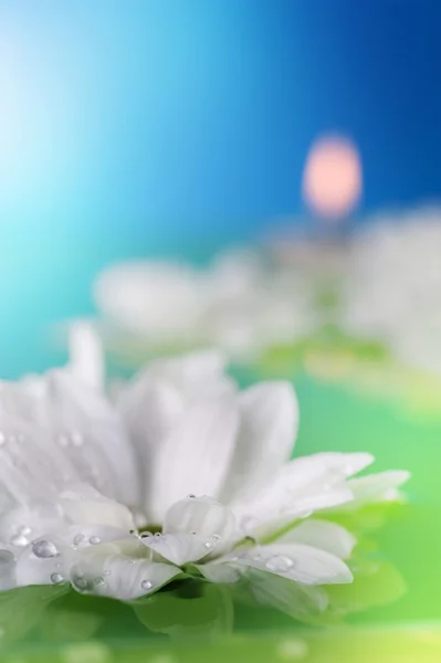 Цветы и свечи в воде — стоковое фото