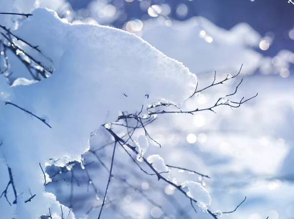Zimní výtvarné řešení. sníh — Stock fotografie