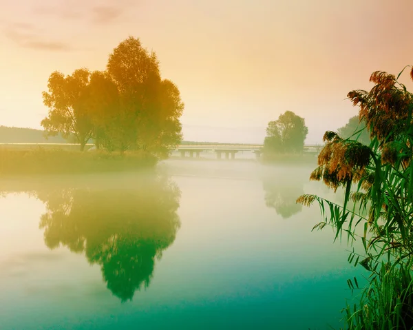 Nehirli yaz manzarası — Stok fotoğraf