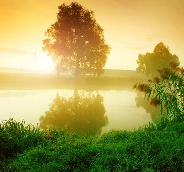 川と夏の風景 — ストック写真