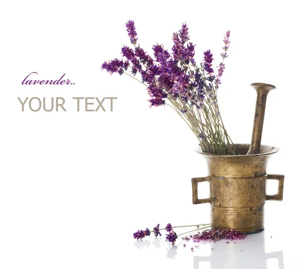 Lavendel en antieke mortel. natuurlijke cosmetica concept — Stockfoto