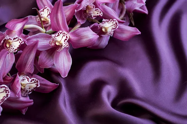 丝绸和兰花。与 copyspace — 图库照片