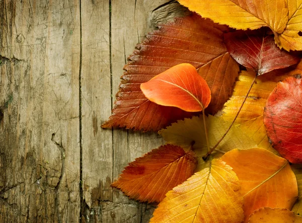 Feuilles d'automne sur fond en bois — Photo