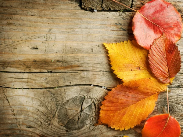 Otoño Hojas sobre fondo de madera. Con espacio de copia —  Fotos de Stock