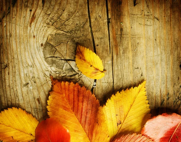 Hösten löv över trä bakgrund — Stockfoto